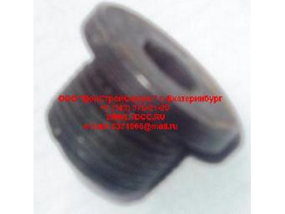 Пробка крышки бортового редуктора М22х1,5 H HOWO (ХОВО) 190003961309 фото 1 Старый Оскол