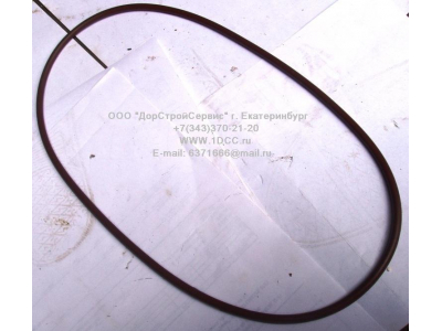 Кольцо уплотнительное задней ступицы F FAW (ФАВ) 2406033 для самосвала фото 1 Старый Оскол