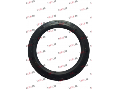 Сальник 100х130х12 Европа ЕВРОПА 030.214-00A фото 1 Старый Оскол