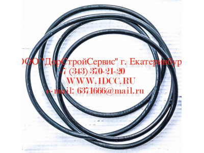Кольцо уплотнительное ø338х3.55 гидромуфты ГТР CDM 833 Lonking CDM (СДМ) ø338х3.55 фото 1 Старый Оскол