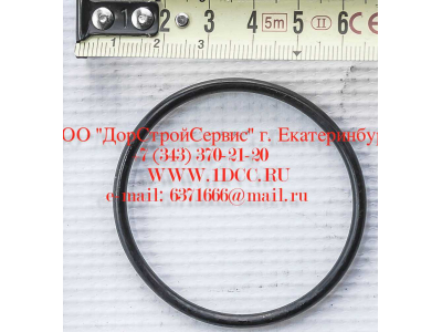 Кольцо уплотнительное ø346х3.5 гидромуфты ГТР CDM 855, 843 Lonking CDM (СДМ) 402236 фото 1 Старый Оскол