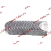 Вкладыши коренные стандарт +0.00 (14шт) LONGGONG CDM833 Lonking CDM (СДМ) 13034908/13034916 фото 2 Старый Оскол