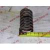 Пружина клапана WP12 SHAANXI / Shacman (ШАНКСИ / Шакман) 612630050005 фото 3 Старый Оскол